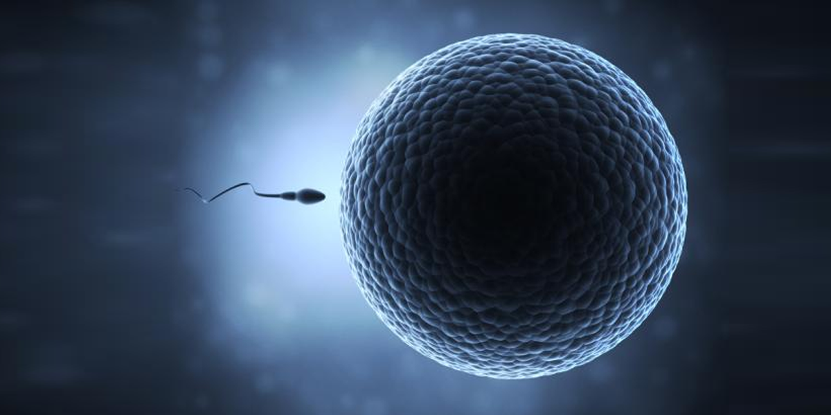50% drop in sperm counts of men around the globe: could you be at risk ...